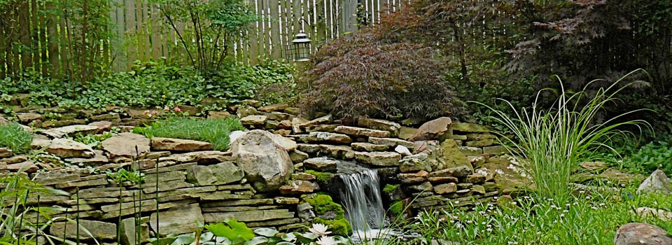 Mikell’s Garden